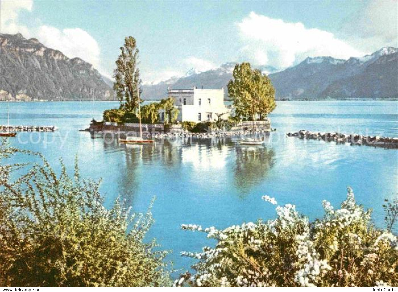 12629214 Lac Leman Genfersee Ile De Salagnon Genf - Andere & Zonder Classificatie