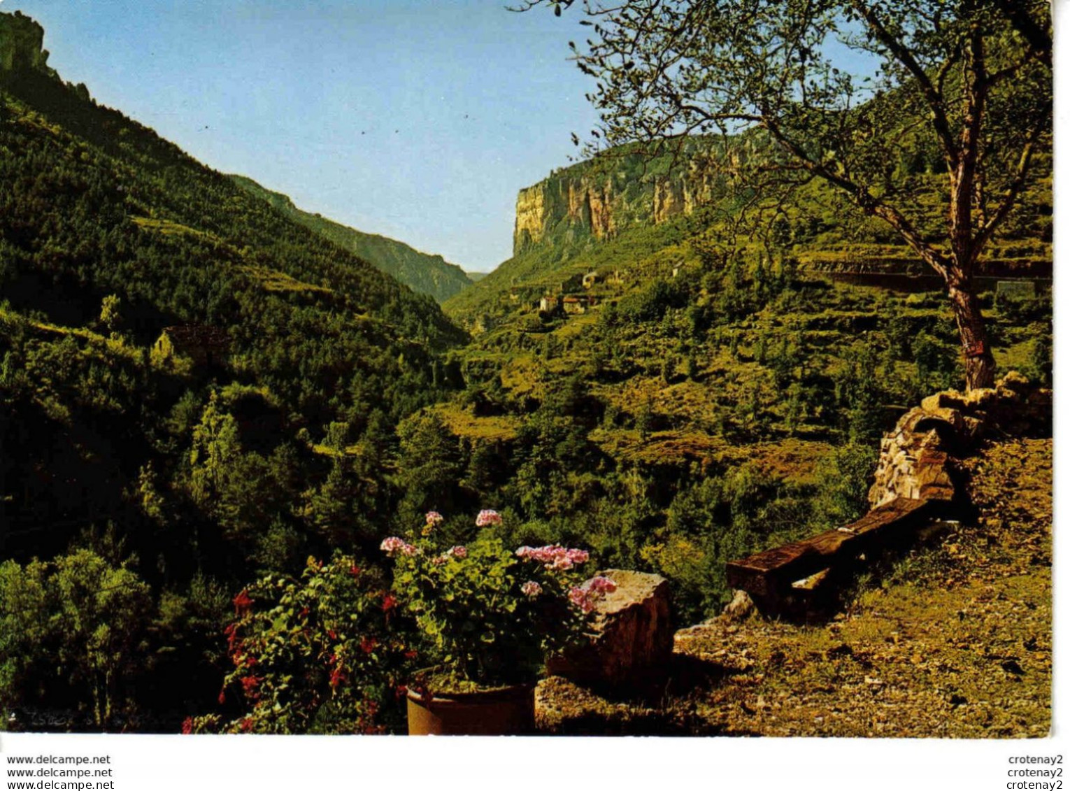 12 Gorges De La JONTE N°48 14 Vue Vers Le TRUEL - Autres & Non Classés