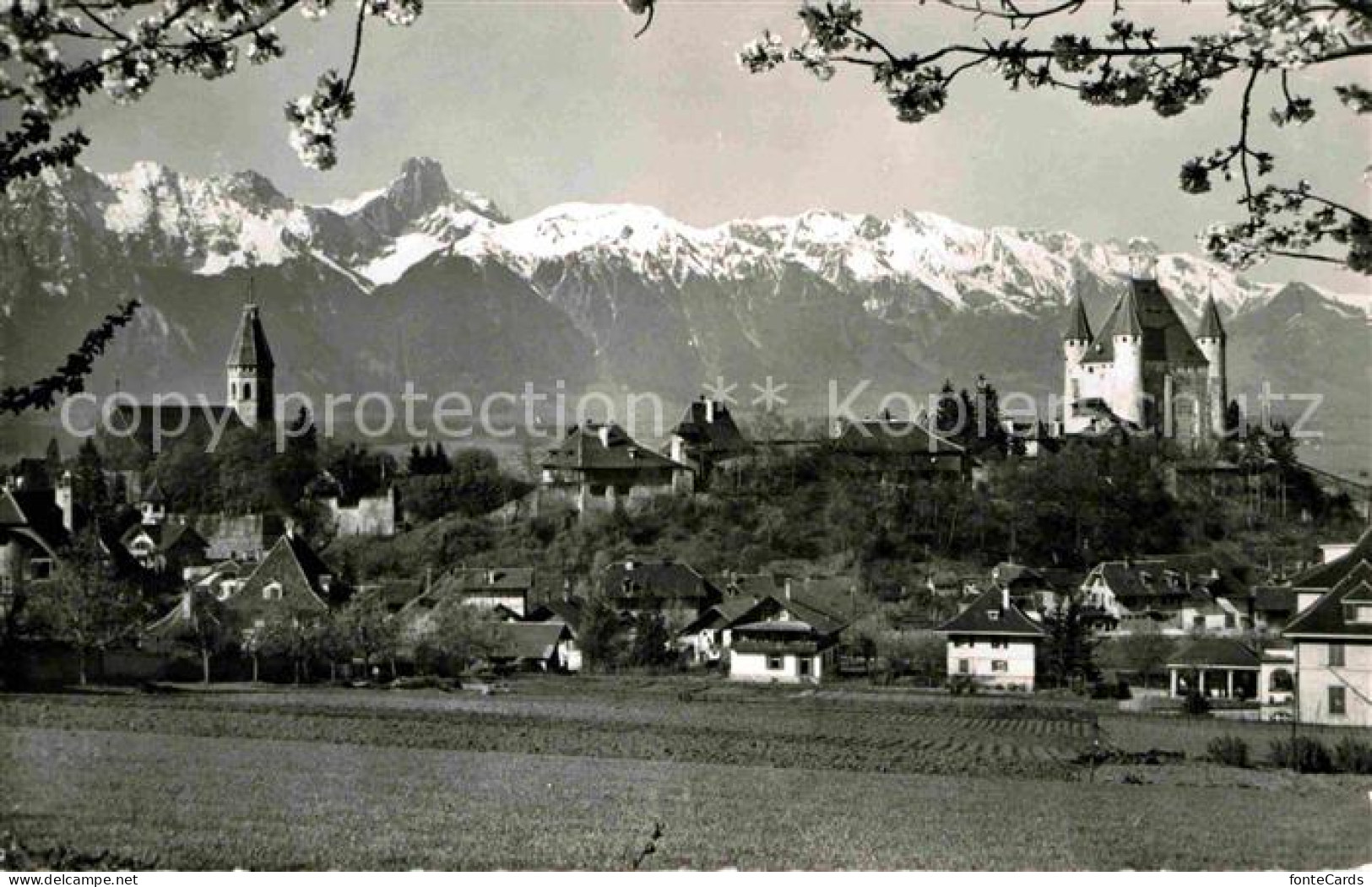 12628234 Thun BE Mit Schloss Und Stockhornkette Thun - Autres & Non Classés