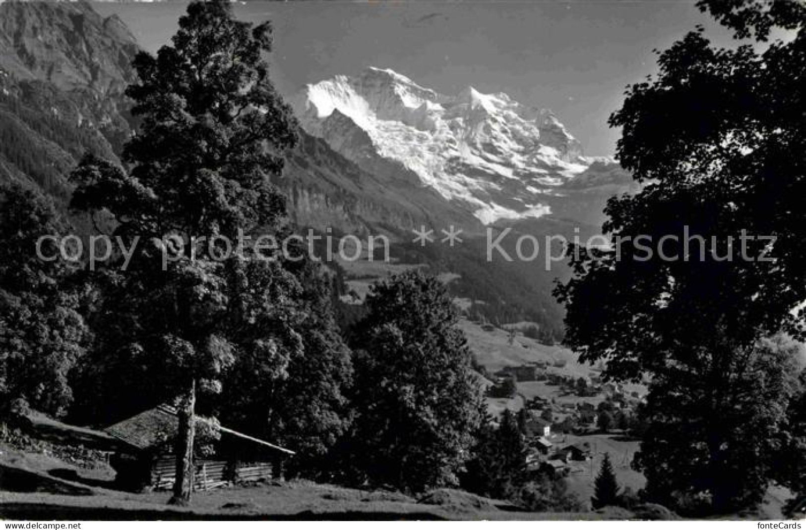 12628233 Wengen BE Mit Jungfrau Wengen - Autres & Non Classés