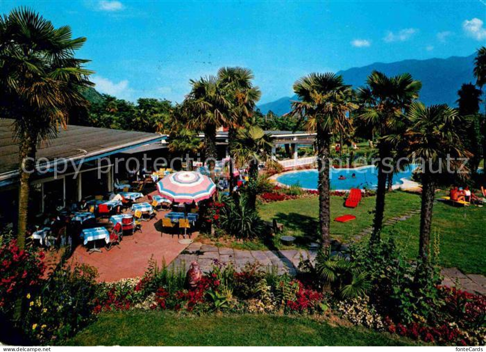 12627551 Locarno TI Hotel Losone Swimming Pool Palmen  - Andere & Zonder Classificatie