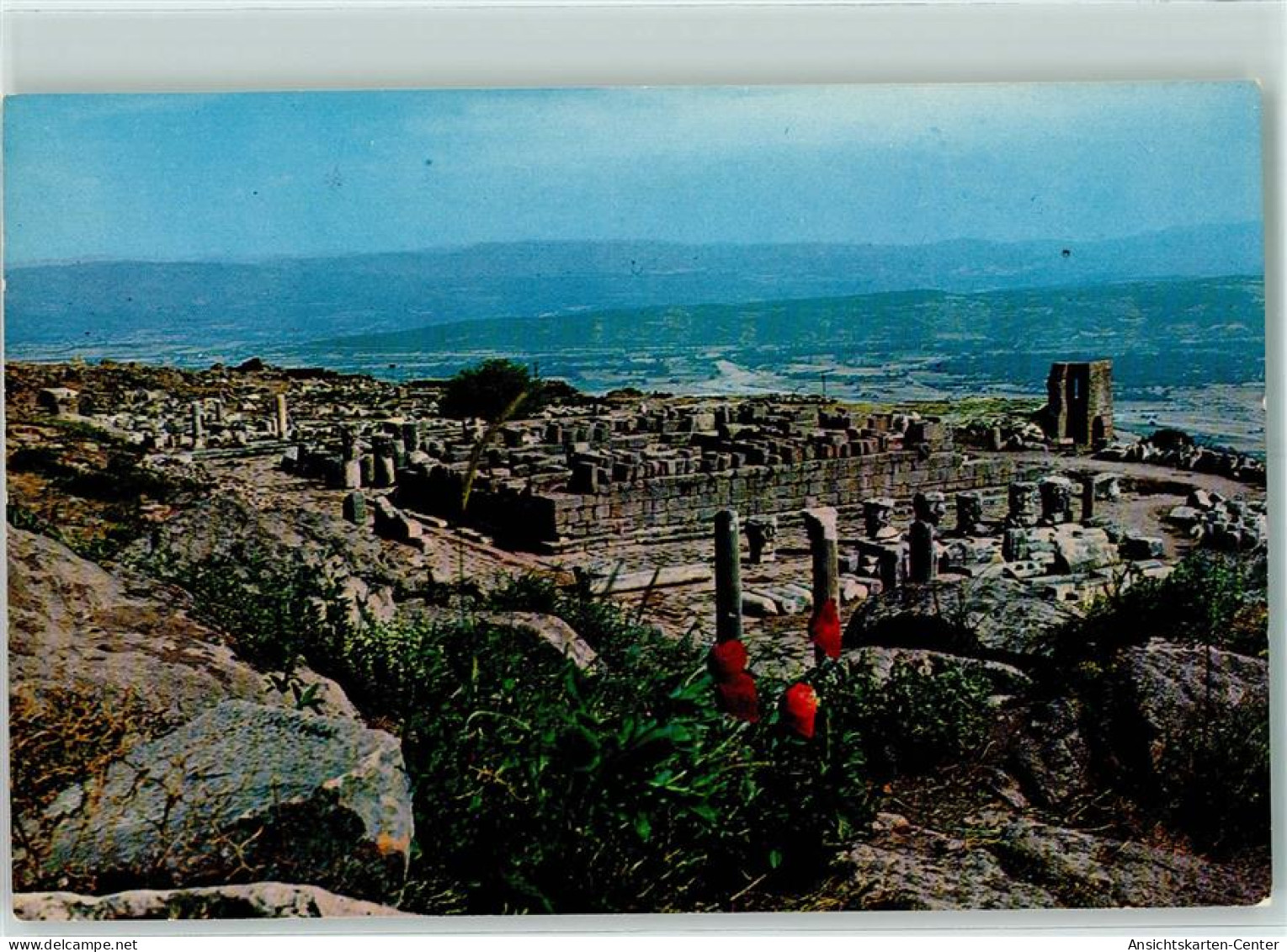 10274905 - Bergama - Türkei