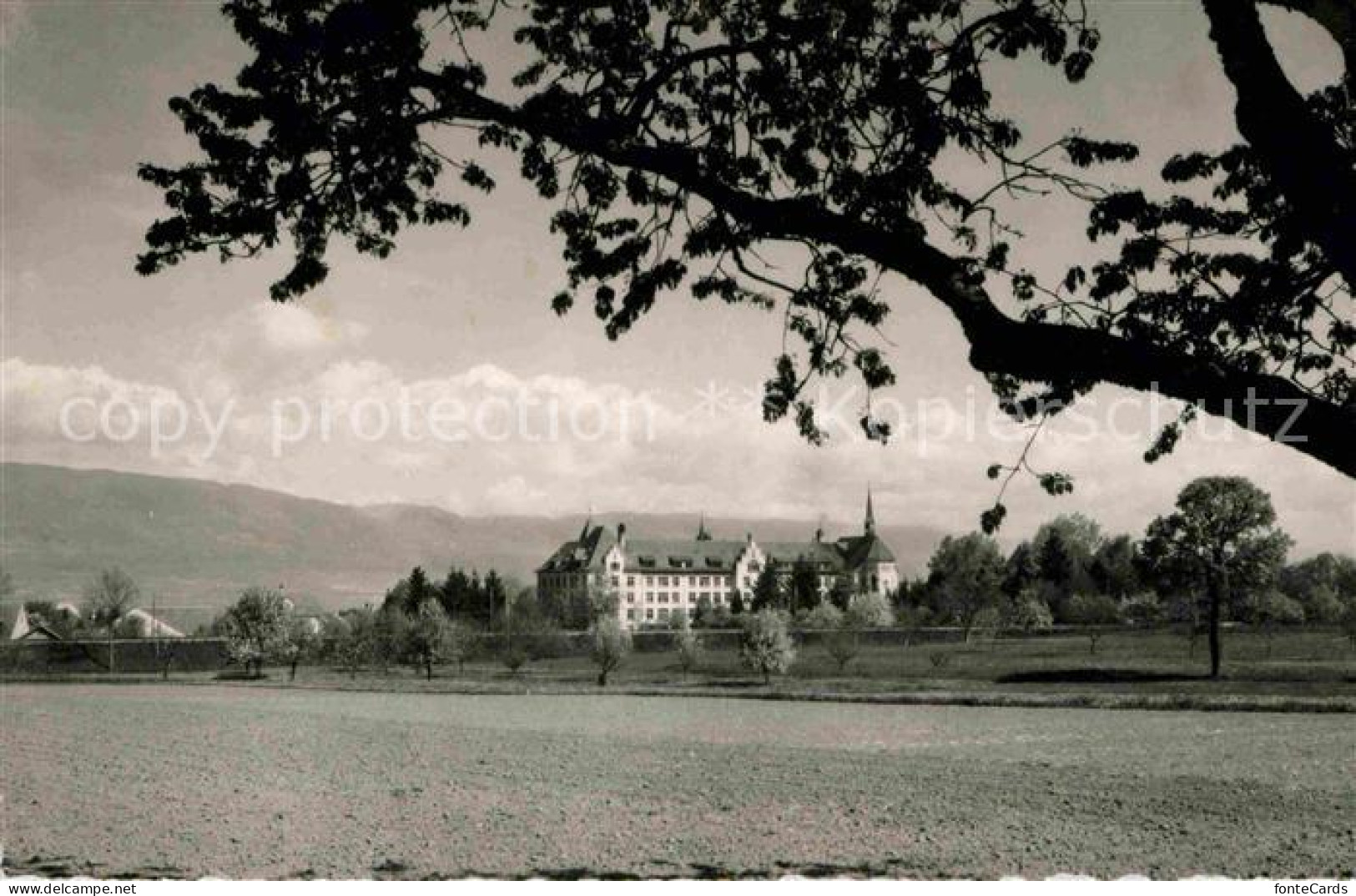 12626073 Estavayer-le-Lac Institut Sacre Coeur Estavayer-le-Lac - Andere & Zonder Classificatie