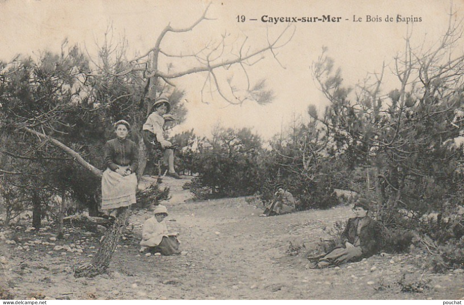 KO 7-(80) CAYEUX SUR MER - LE BOIS DE SAPINS - PERSONNAGES DANS LES ARBRES  - 2 SCANS  - Cayeux Sur Mer