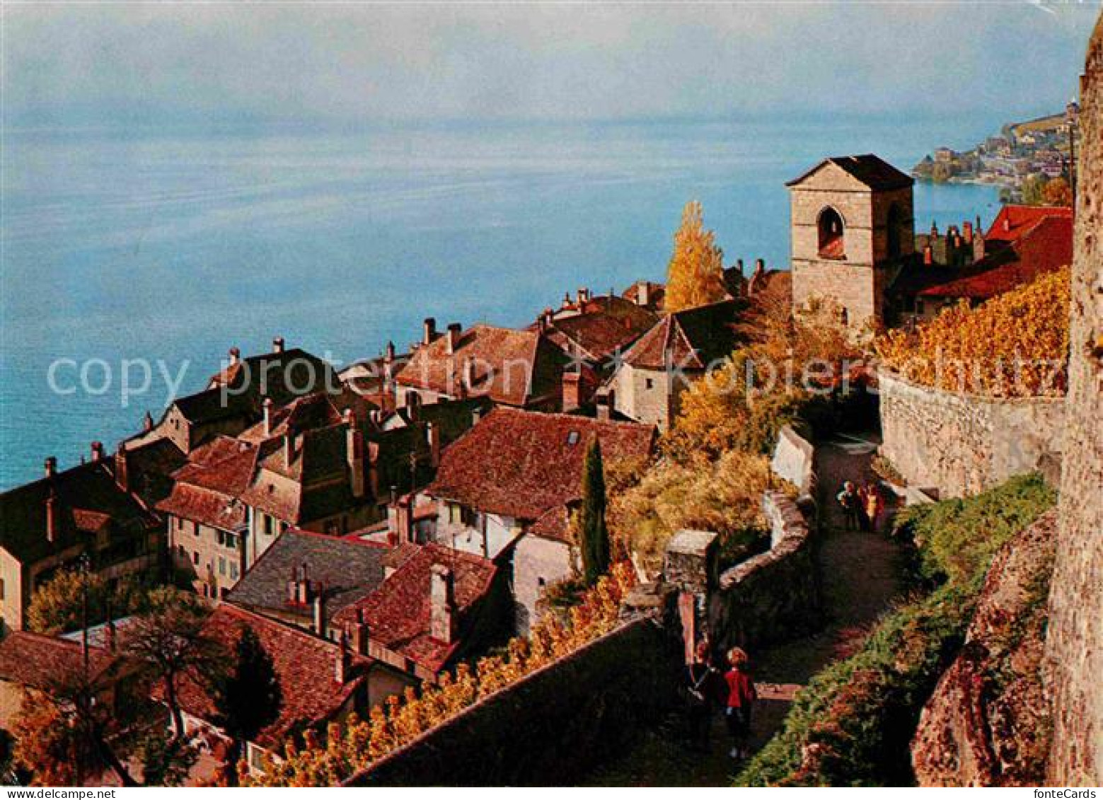 12624058 Lavaux VD Lac Leman Saint Saphorin  - Andere & Zonder Classificatie