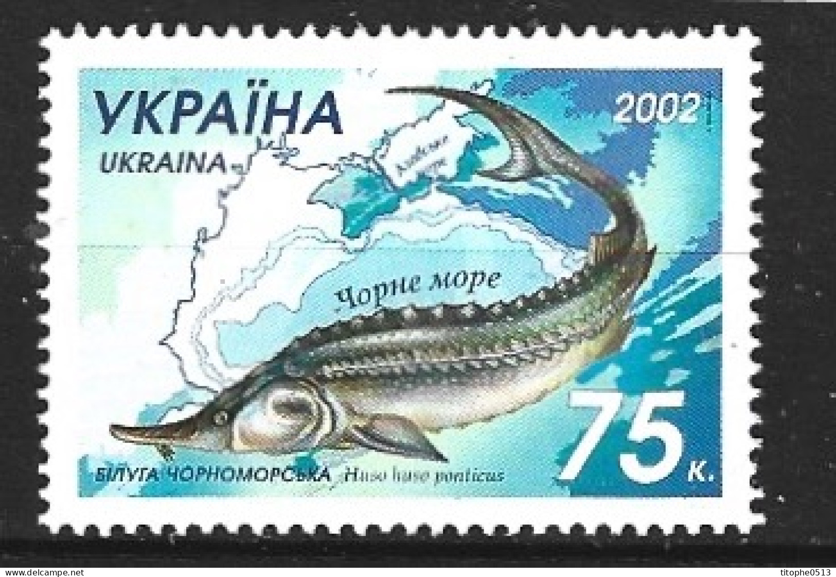 UKRAINE. N°476 De 2002. Esturgeon. - Vissen