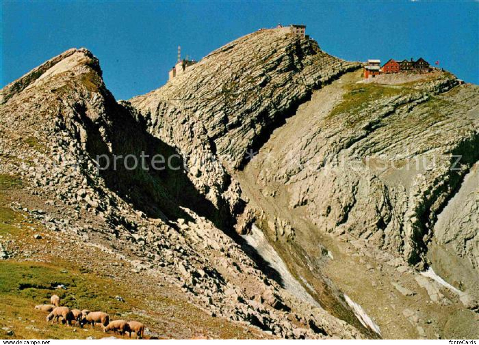 12623744 Saentis AR Gipfelblick Saentis - Autres & Non Classés