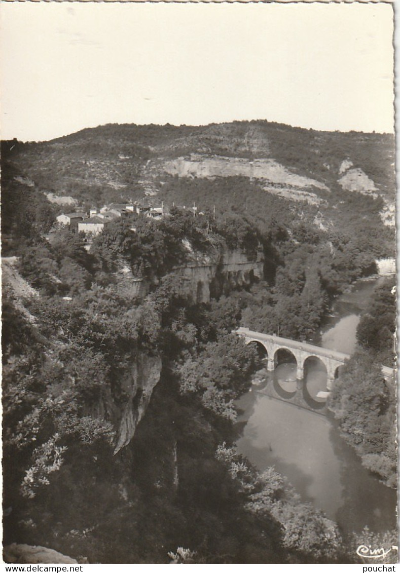 KO 14-(82) SAINT ANTONIN NOBLE VAL - RIVES PITTORESQUES DE L' AVEYRON A BROUSSE - 2 SCANS - Saint Antonin Noble Val