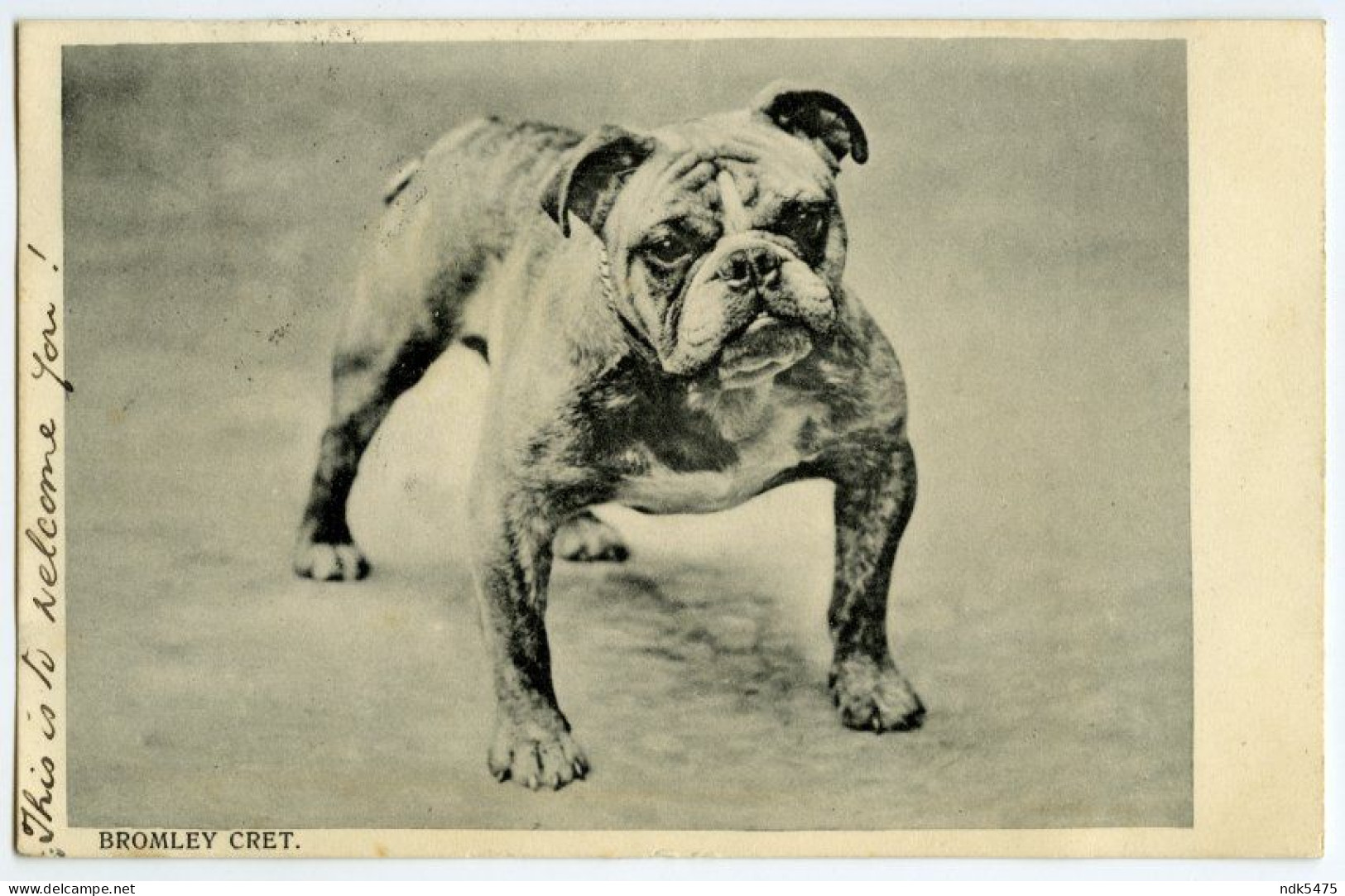 DOG : BULLDOG - BROMLEY CRET. / LONDON W.C 11 DUPLEX / BURTON ON THE WATER, THE RECTORY (BENNETT) - Dogs