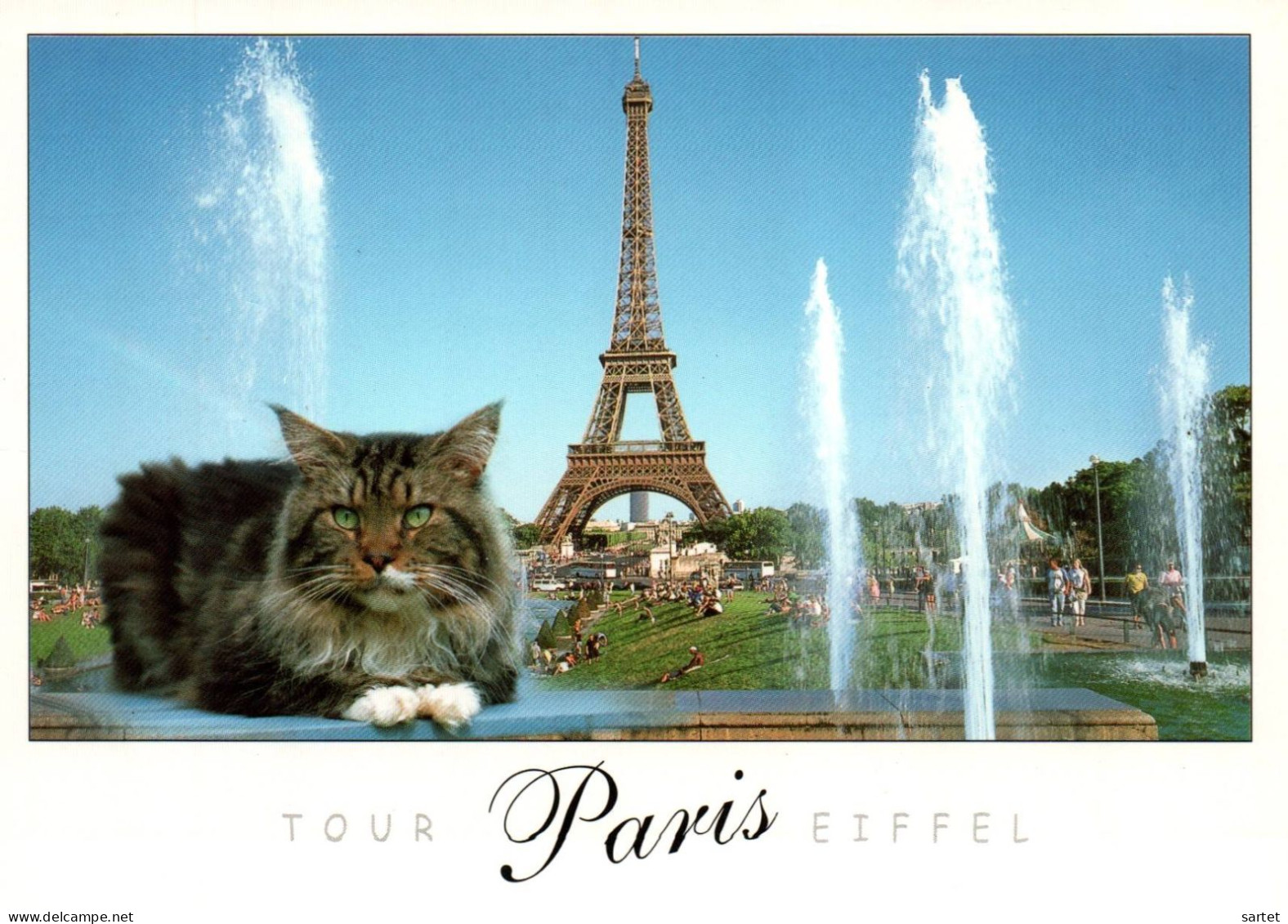 Paris - Tour Eiffel.avec Chat - Altri & Non Classificati