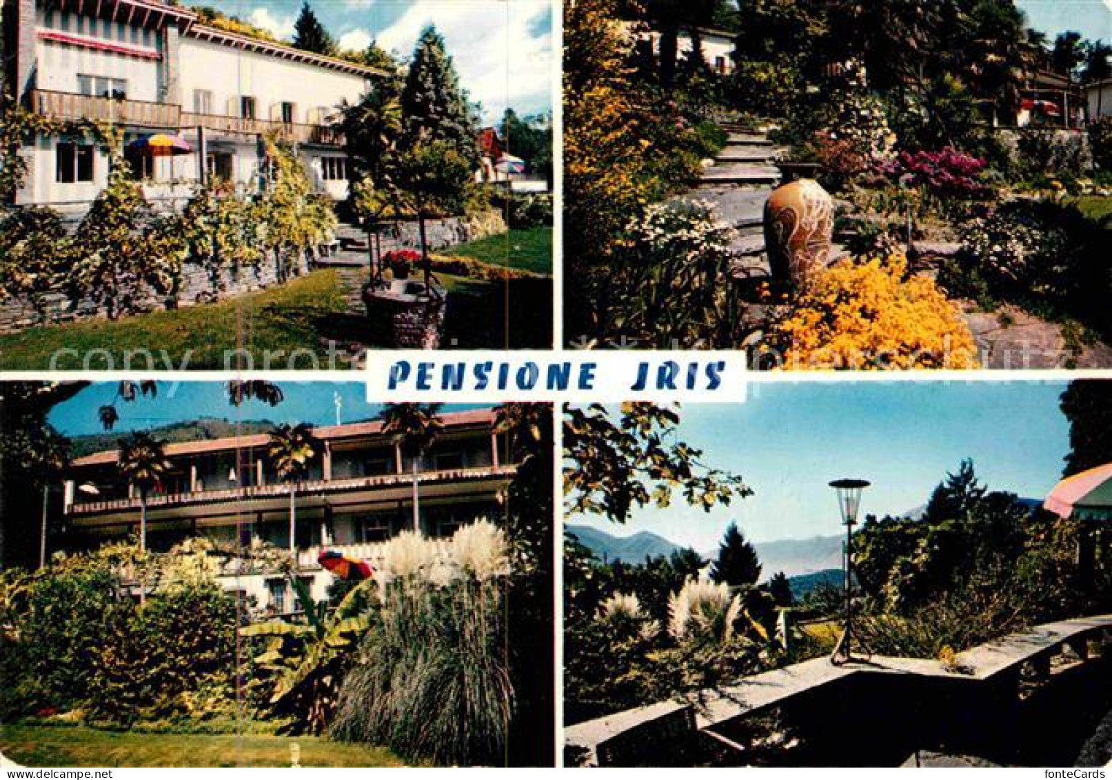 12619600 Monti Locarno TI Pensione Iris Erholungsheim Garten Locarno - Sonstige & Ohne Zuordnung