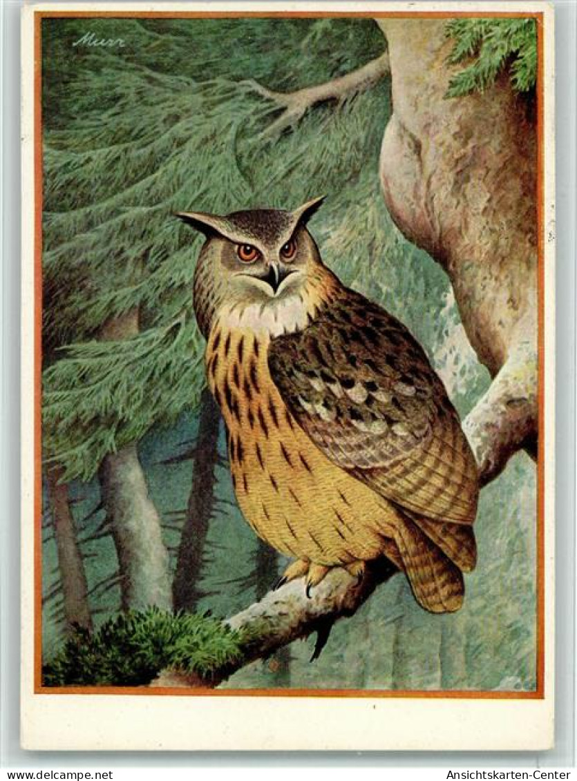 40164806 - .Uhu (Bubo Bubo), Verein Zum Schutze Der Alpenplanzen Und -Tiere E.V, Gute Erhaltung - Altri & Non Classificati