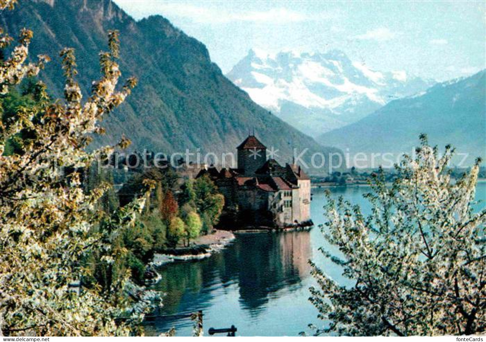 12615432 Lac Leman Genfersee Chateau De Chillon Et Les Dents Du Midi Genf - Autres & Non Classés