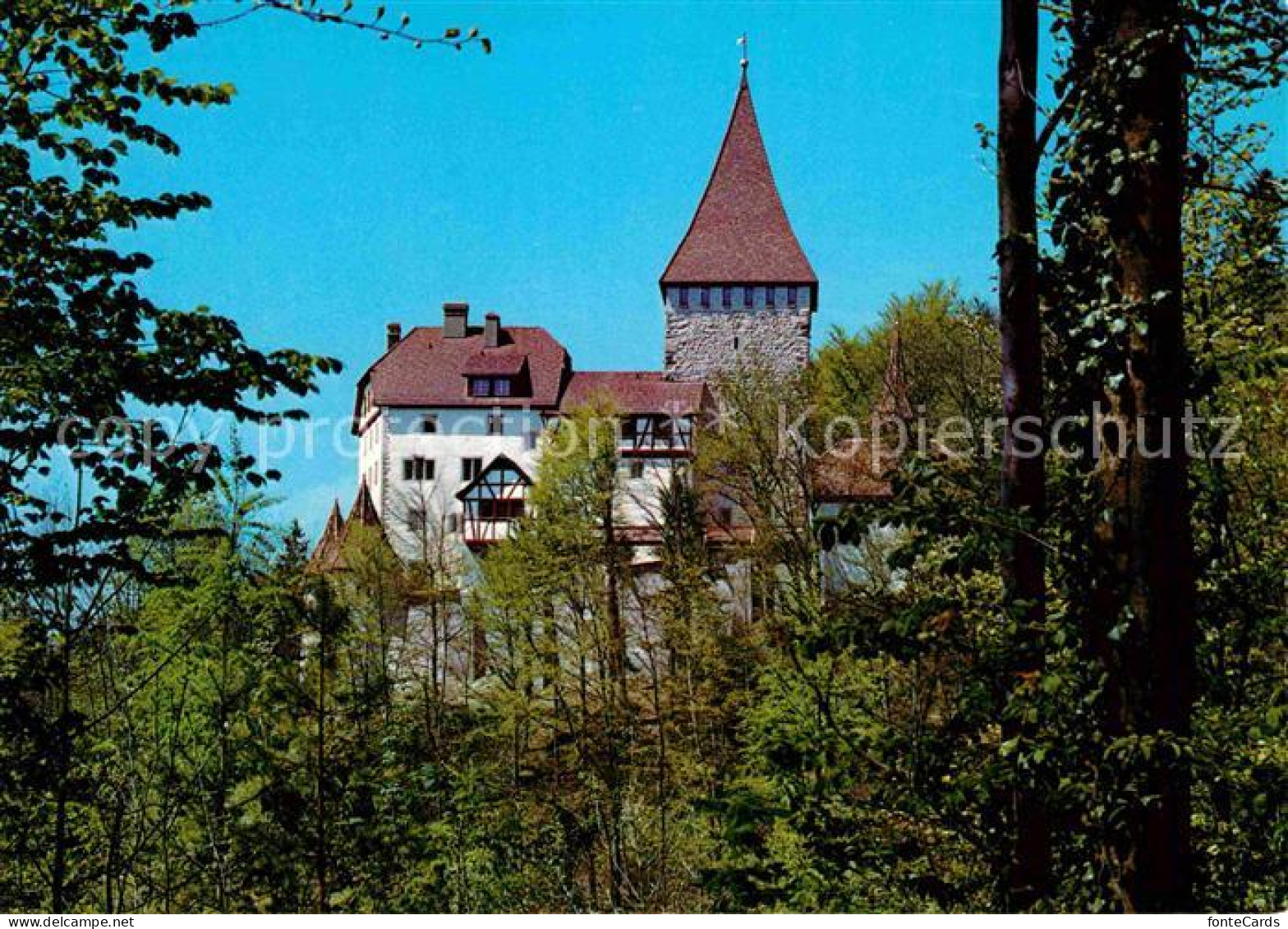 12614873 Weinfelden Schloss Weinfelden - Sonstige & Ohne Zuordnung