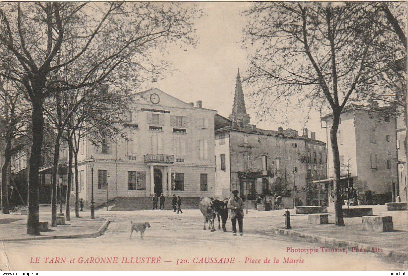 KO 19-(82) CAUSSADE - PLACE DE LA MAIRIE - PAYSAN AVEC SES VACHES - 2 SCANS - Caussade