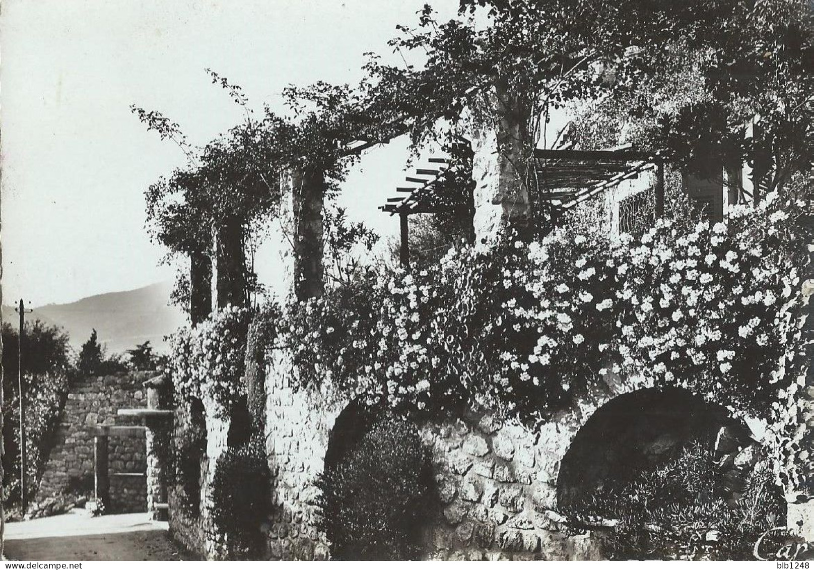 [06] Alpes Maritimes >  St Jean Cap Ferrat Pergola Fleurie De La Villa Sous Les Toits De Paris - Saint-Jean-Cap-Ferrat