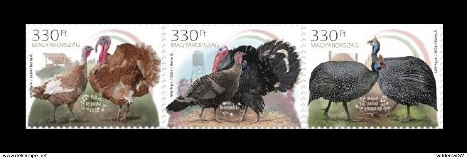 Hungary 2024 Mih. 6360/62 Fauna. Birds. Indigenious Hungarian Poultry Breeds. Turkeys And Guinea Fowl MNH ** - Neufs