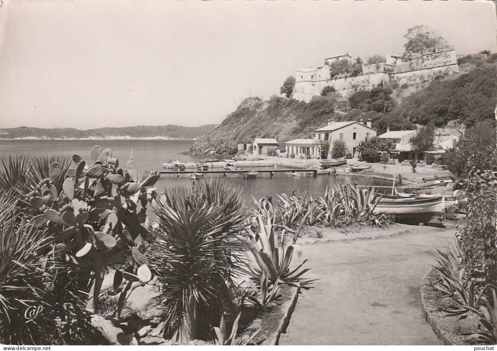 KO 21-(83) ILE DE PORT CROS - LE PARC ET LE CHATEAU - 2 SCANS  - Autres & Non Classés