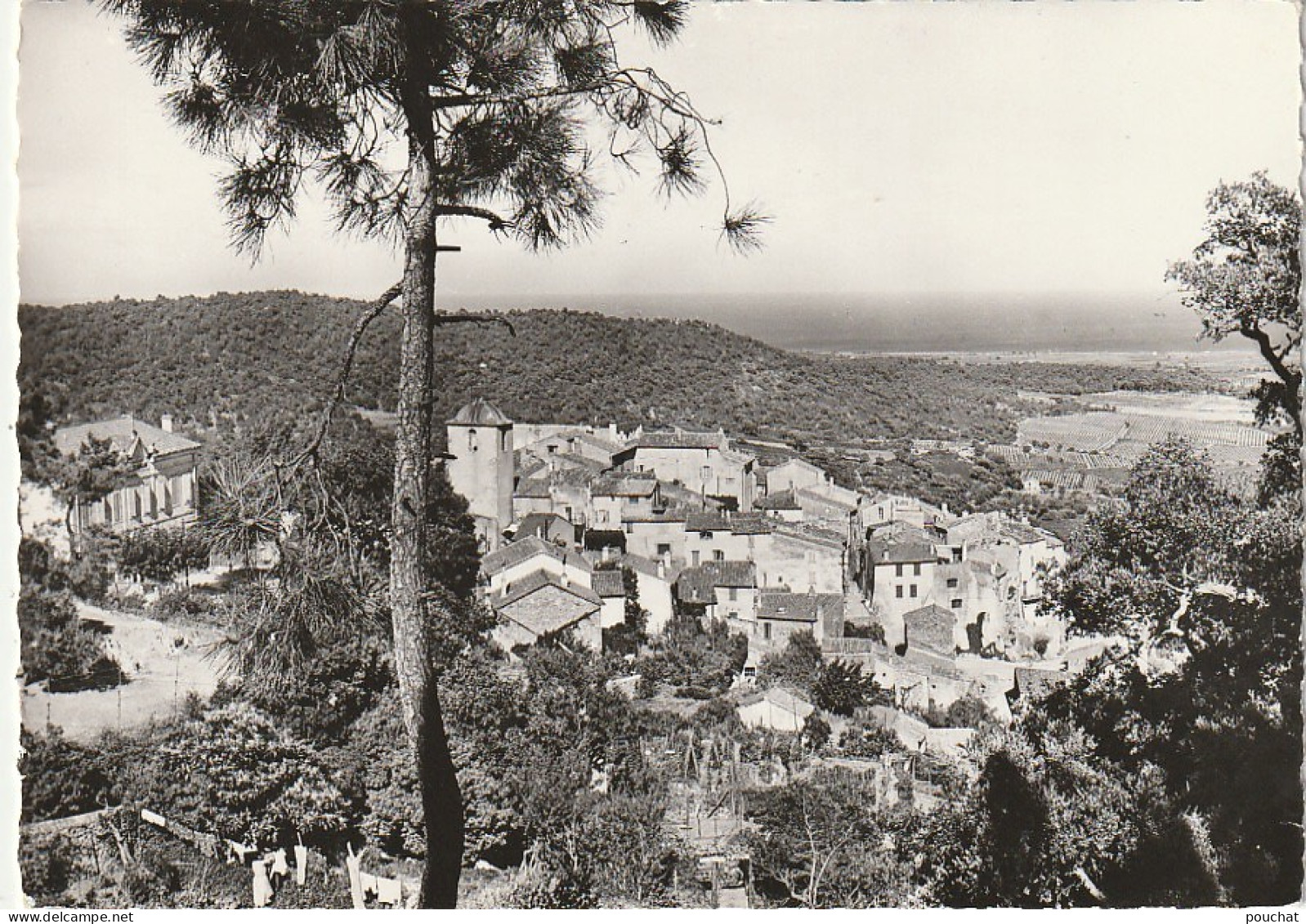 KO 21-(83) RAMATUELLE - VUE D' ENSEMBLE - LA PLAINE ET LA MER - 2 SCANS  - Ramatuelle