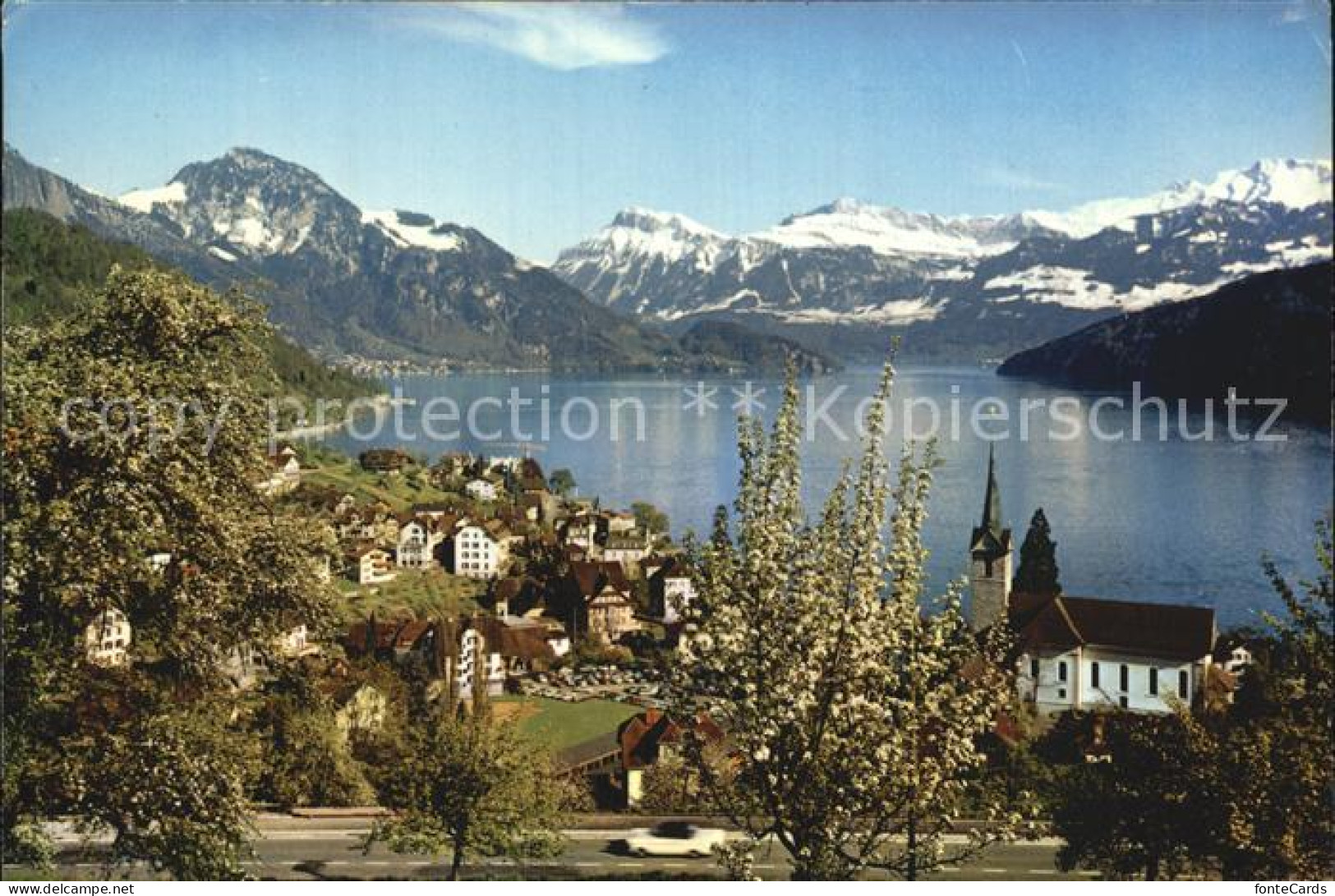 12614151 Weggis LU Panoramastrasse  Weggis - Sonstige & Ohne Zuordnung