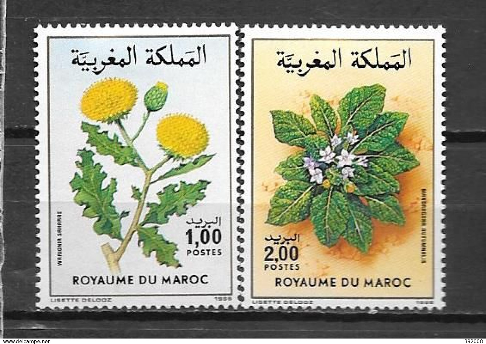 1986 - N° 1008 à 1009 * MH - Fleurs - Morocco (1956-...)