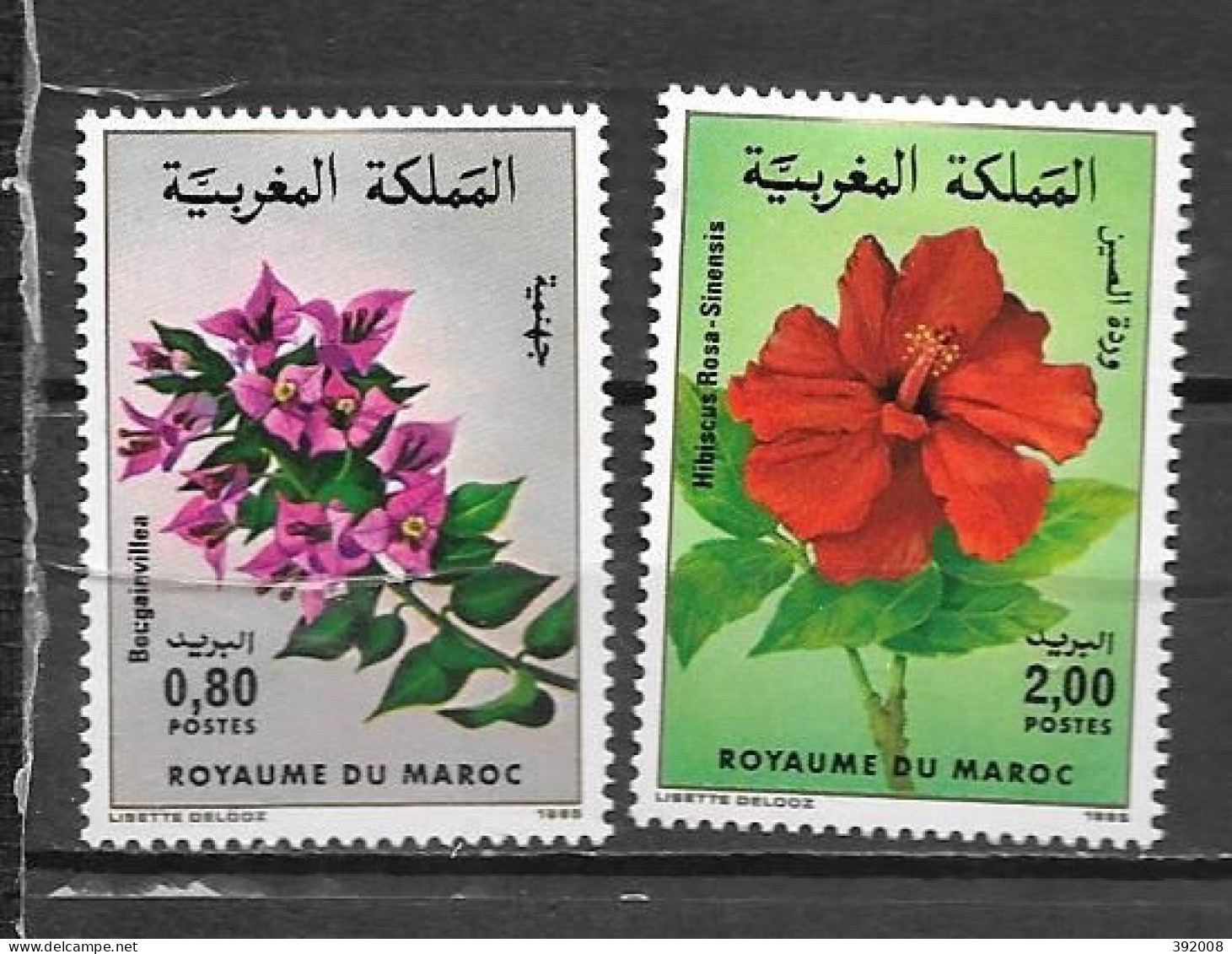 1985 - N° 988 à 989 * MH - Fleurs - Morocco (1956-...)