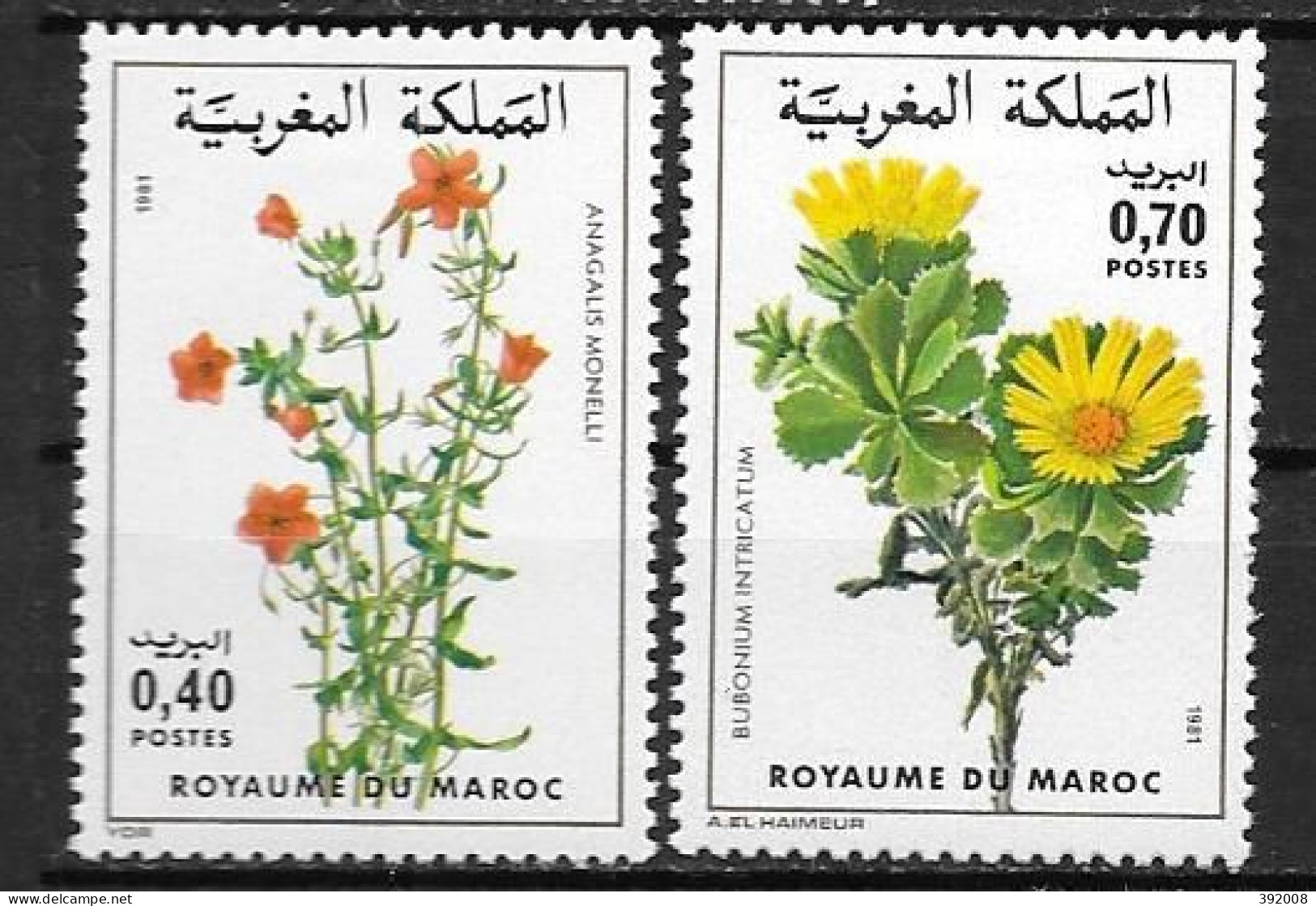 1981 - N° 880 à 881* MH - Fleurs - Morocco (1956-...)