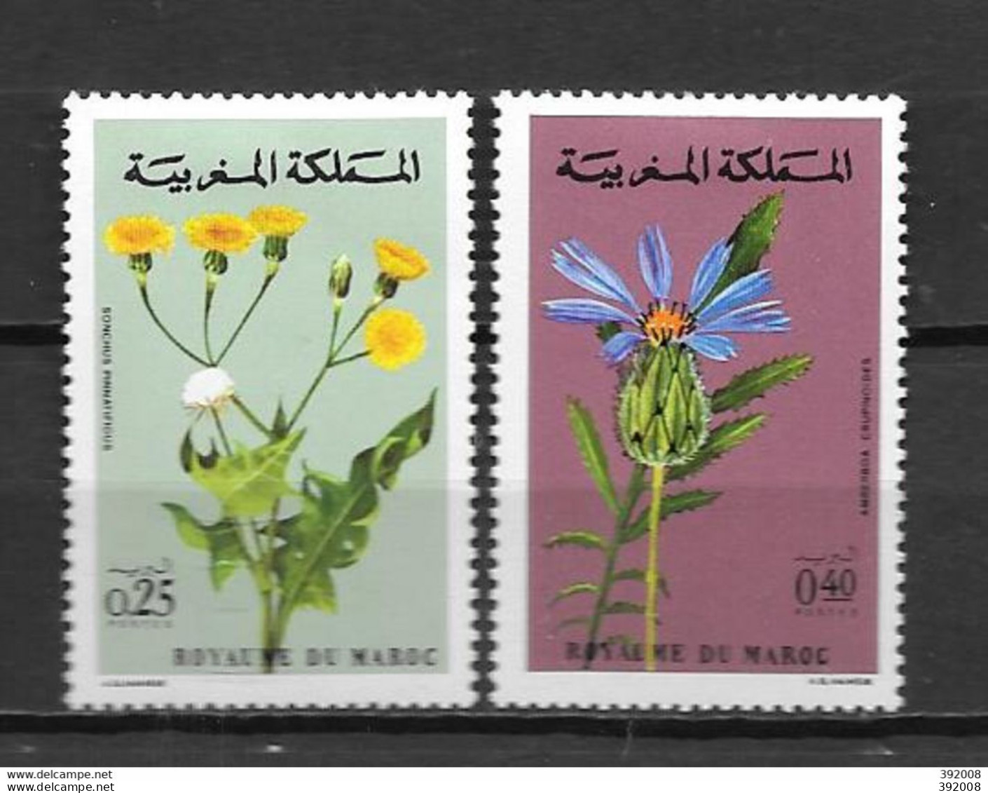1972 - N° 648 à 649** MNH - Fleurs - Morocco (1956-...)