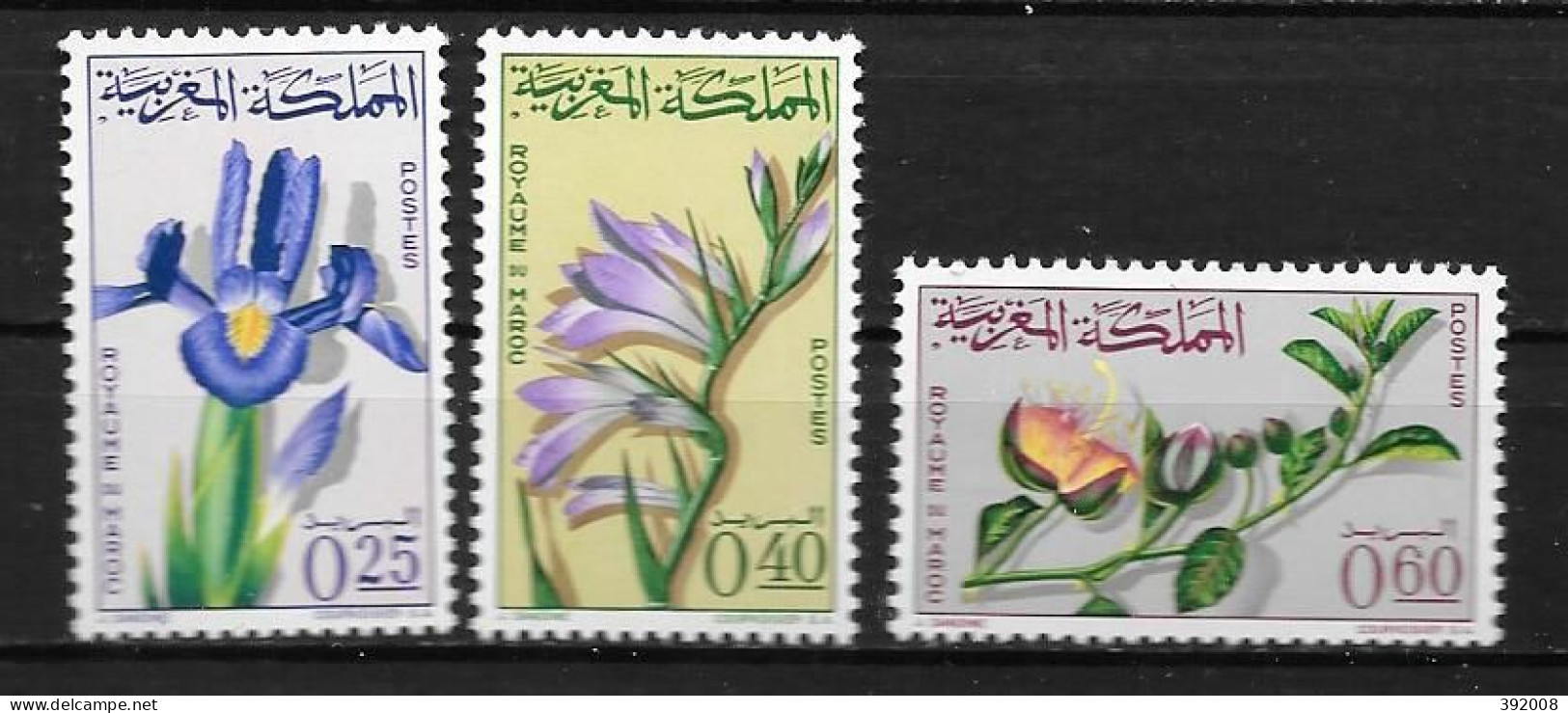 1965 - N° 480 à 482*MH - Orchidées - Morocco (1956-...)