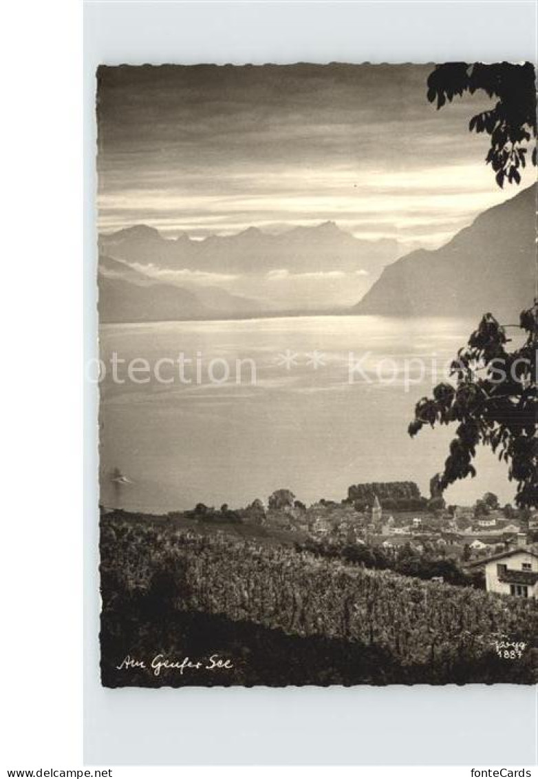 12612540 Geneve GE Panorama Mit See Geneve - Andere & Zonder Classificatie