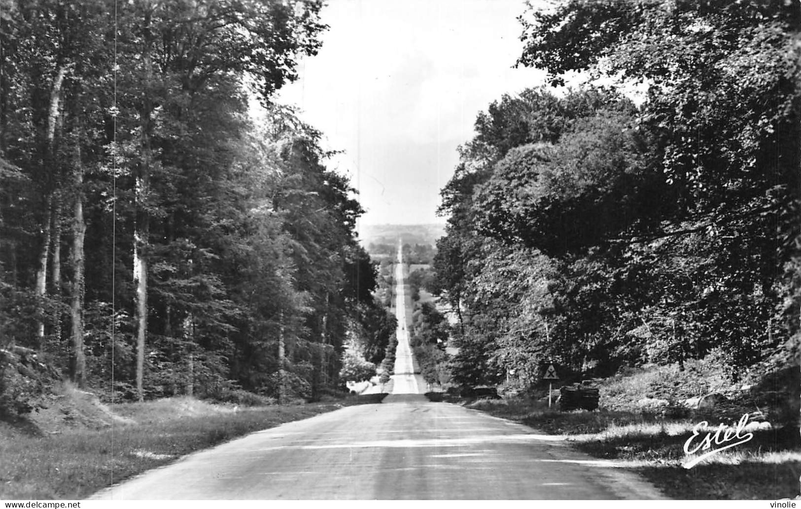 24-5369 : LE PIN-LA-GARENNE. FORET DE BELLEME - Sonstige & Ohne Zuordnung