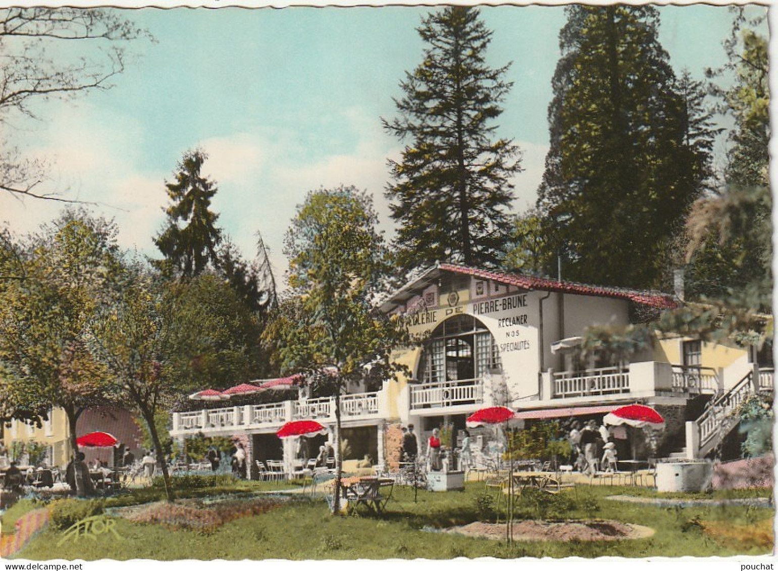 LE 3-(85) FORET DE MERVENT - HOSTELLERIE DE PIERRE BRUNE - LA TERRASSE - CARTE COULEURS - 2 SCANS - Andere & Zonder Classificatie