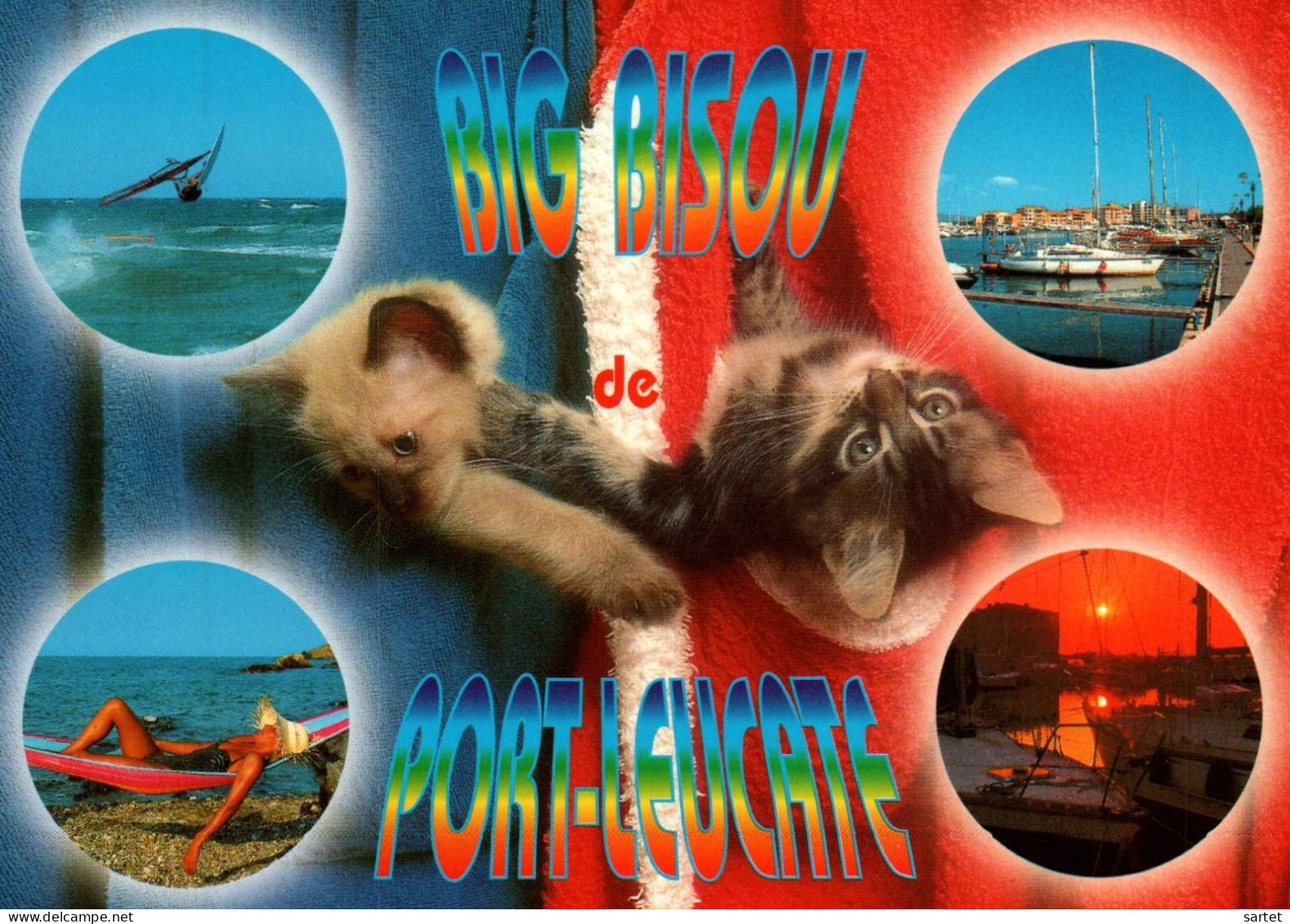 Big Bisou De Port-Leucate Avec Chat - Andere & Zonder Classificatie