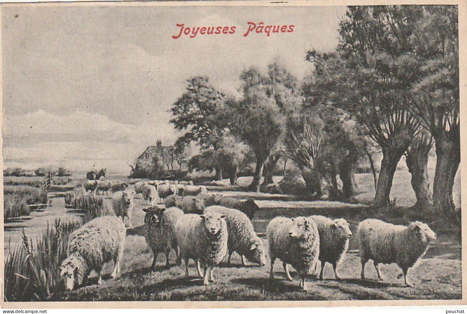 LE 6- JOYEUSES  PAQUES - TROUPEAU DE MOUTONS PAISSANT - 2 SCANS - Ostern