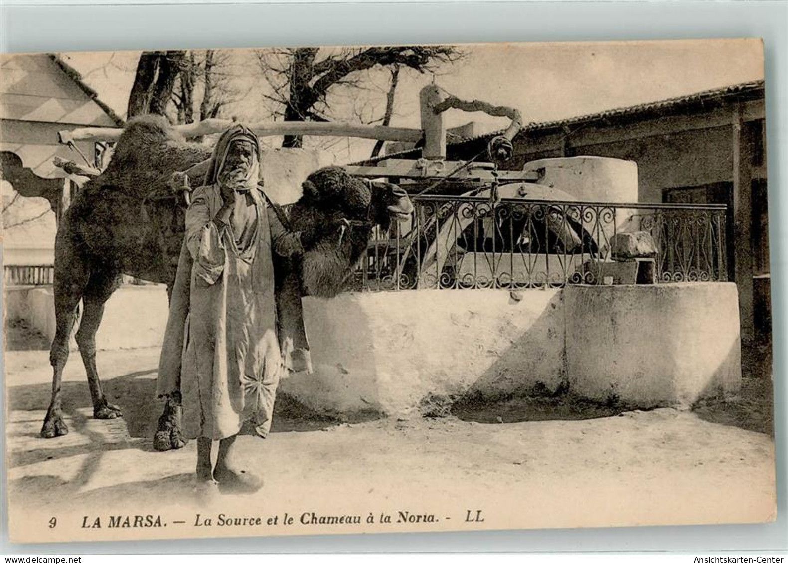 39633006 - La Marsa - Tunisie