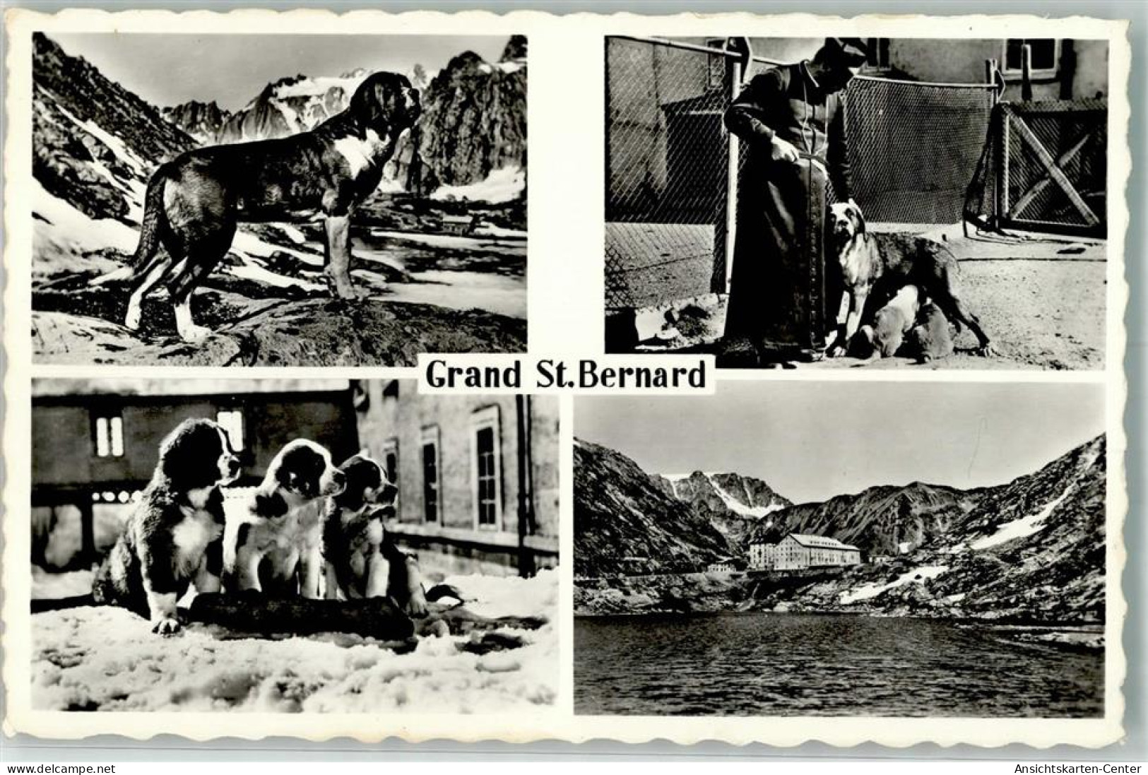39693306 - Hospiz Grosser Sankt Bernhard Pass - Altri & Non Classificati
