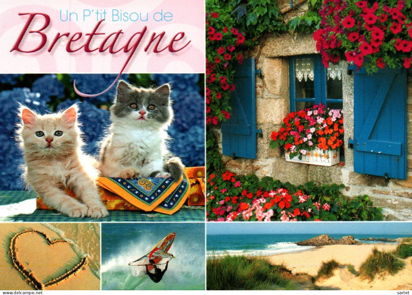 Un P'tit Bisou De Bretagne Avec Chat - Chats