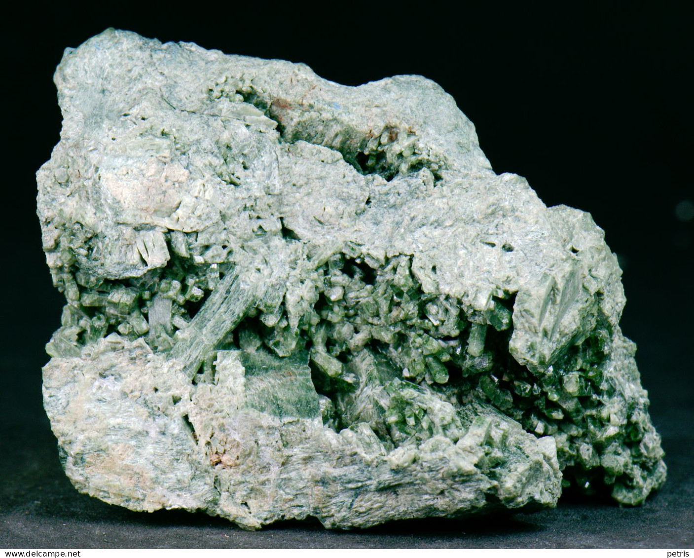 Mineral - Uralite (Val Sissone, Sondrio, Italia) - Lot. 1166 - Minéraux