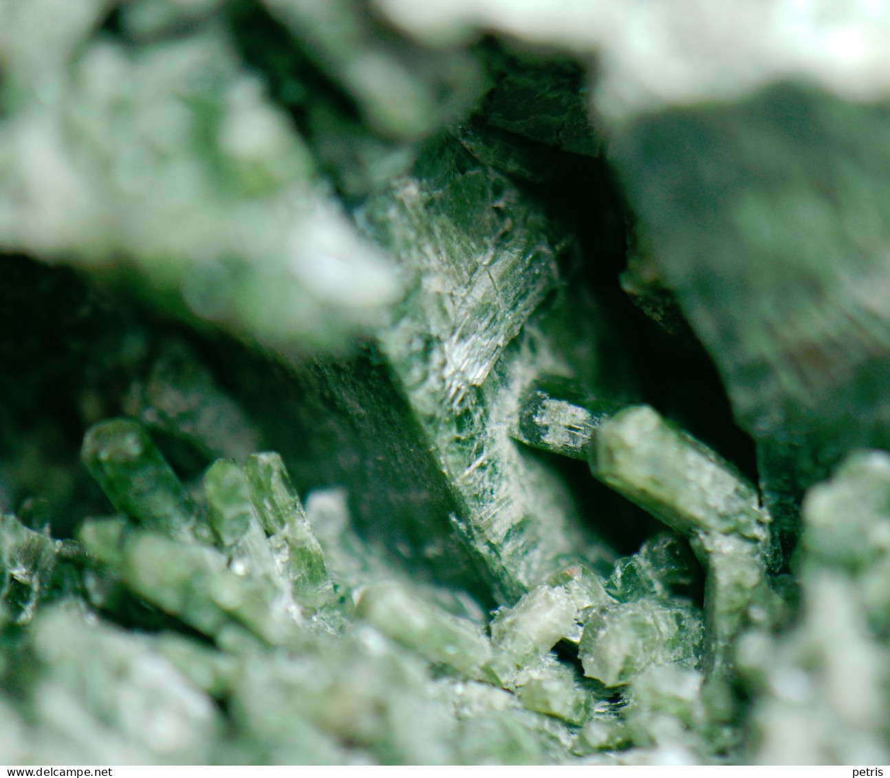 Mineral - Uralite (Val Sissone, Sondrio, Italia) - Lot. 1166