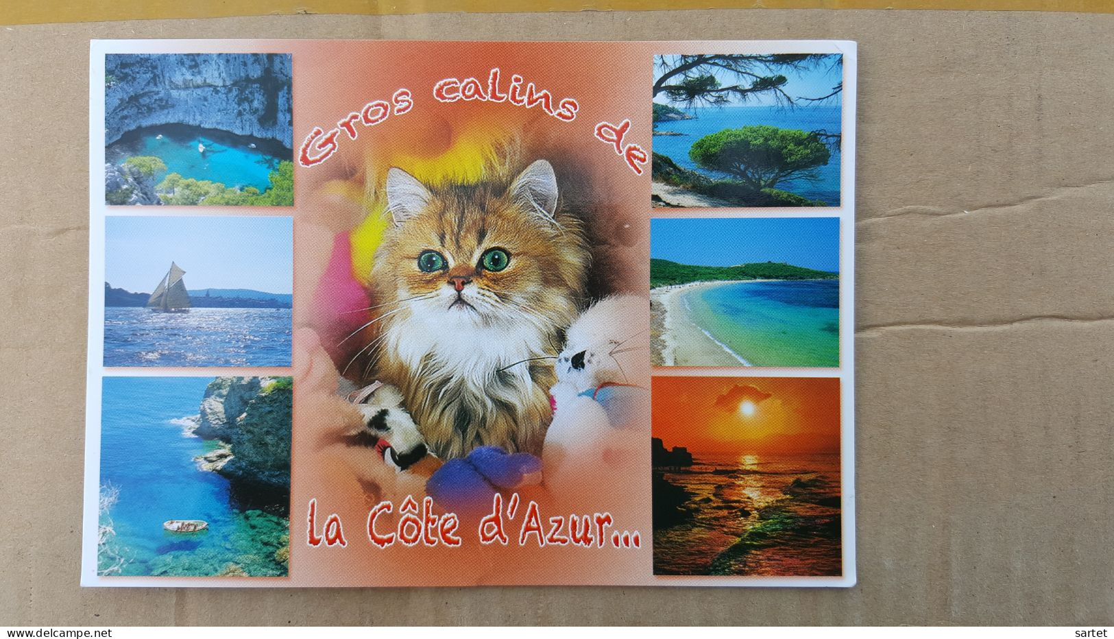 Gros Calins De La Côte D'azur Avec Chat - Gatti