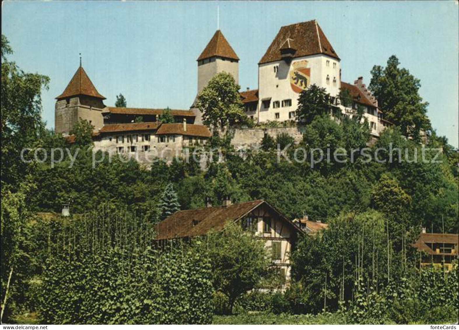 12603631 Burgdorf Bern Schloss Hasle Burgdorf - Andere & Zonder Classificatie