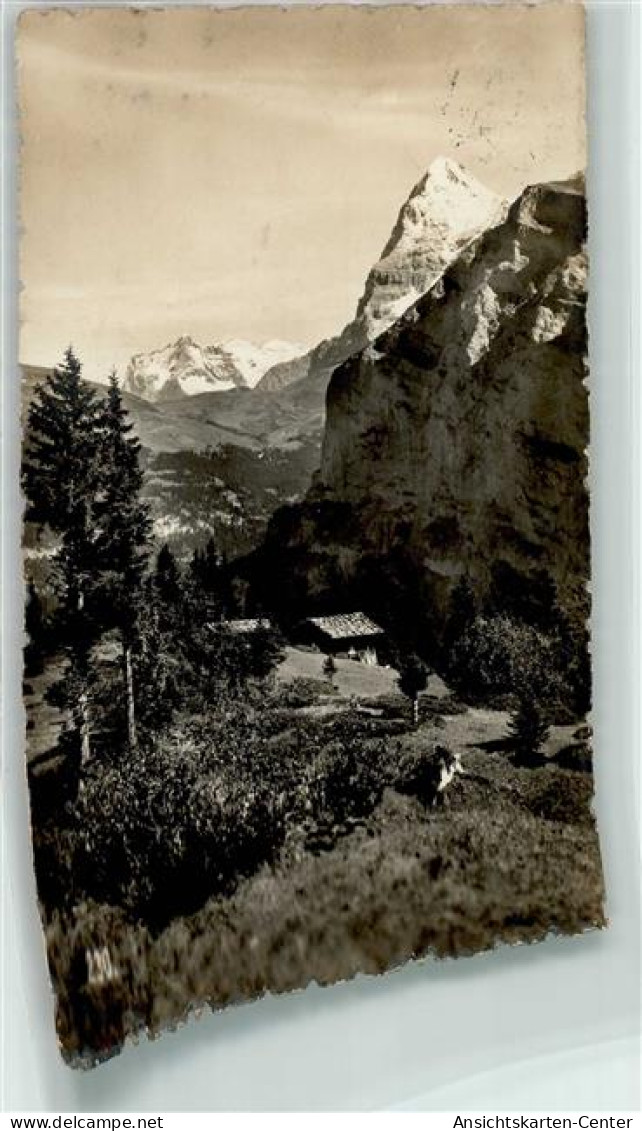 39366406 - Muerren - Autres & Non Classés