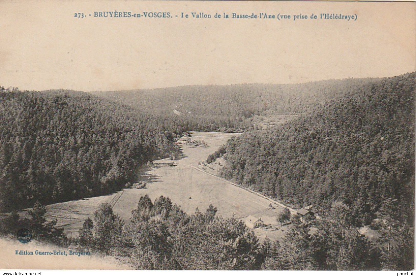 LE 14-(88) BRUYERES EN VOSGES - LA VALLEE DE LA BASSE DE L' ANE ( VUE PRISE DE L' HELEDRAYE ) - 2 SCANS - Bruyeres