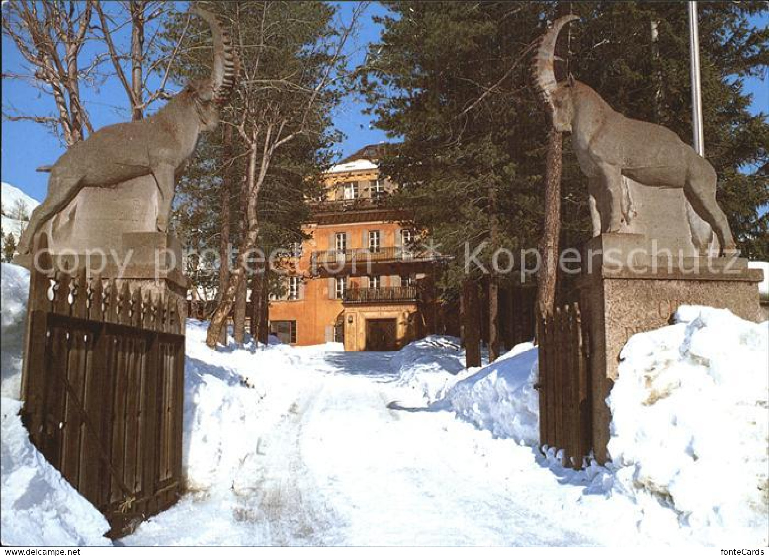 12600443 Samedan Klima Und Rehabilitationsstation Der Stadt Zuerich Steinbock Sk - Andere & Zonder Classificatie