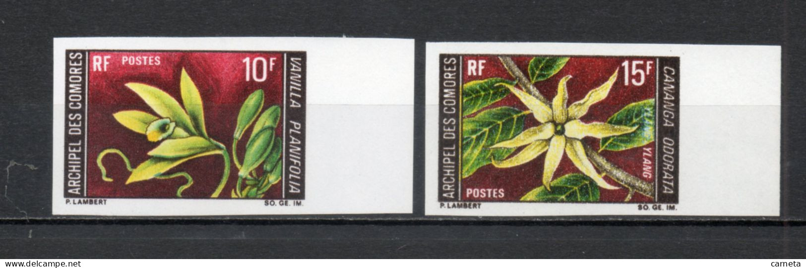 COMORES N° 53 + 54 NON DENTELES   NEUFS SANS CHARNIERE COTE 26.00€  FLEUR - Unused Stamps