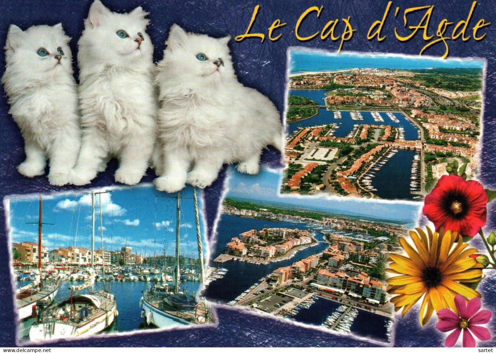 Le Cap D'Agde Avec Chat - Agde