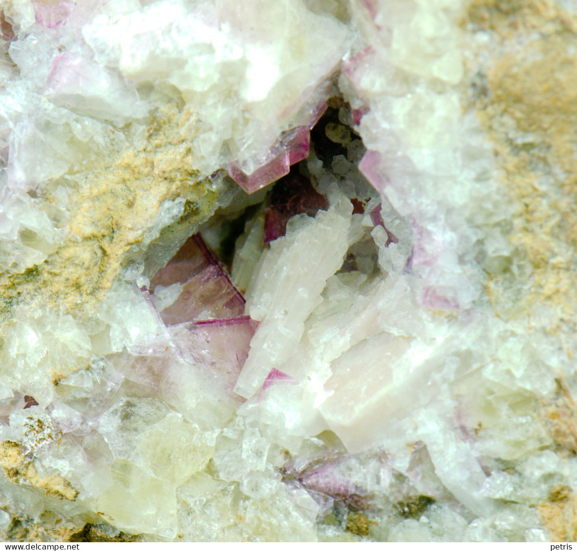 Mineral - Fluorite Rosa Su Barite (Is Murvonis, Domusnovas, Iglesias, Sardegna, Italia) - Lot. 1167 - Minéraux