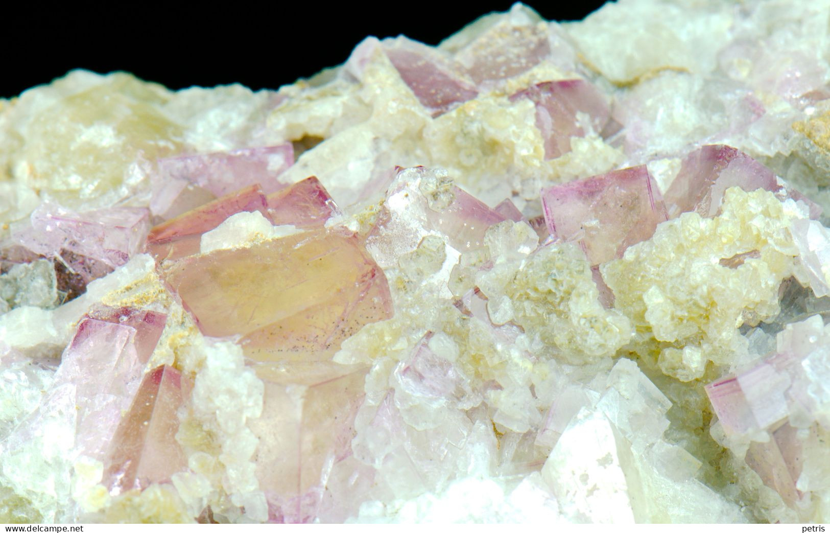 Mineral - Fluorite Rosa Su Barite (Is Murvonis, Domusnovas, Iglesias, Sardegna, Italia) - Lot. 1167 - Mineralien