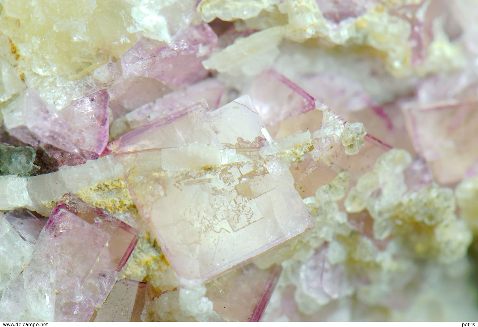 Mineral - Fluorite Rosa Su Barite (Is Murvonis, Domusnovas, Iglesias, Sardegna, Italia) - Lot. 1167 - Minéraux