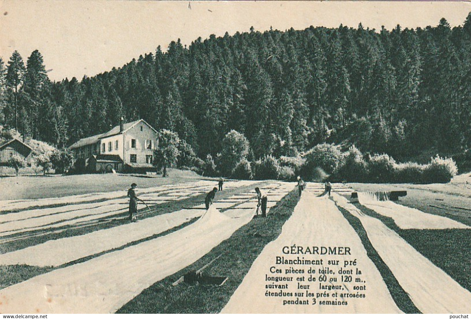 LE 17 -(88) GERARDMER - BLANCHIMENT SUR PRE - ETENDAGE DE PIECES DE TOILE- CARTE PUBLICITAIRE LINVOSGES - 2 SCANS - Gerardmer